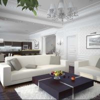 bright living room option 25 sq.m picture