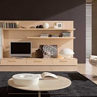 un esempio di un luminoso soggiorno in stile minimalista