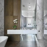 the idea of ​​an unusual style of the bathroom 2017 photo