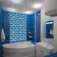 variante dello stile luminoso del bagno con una foto vasca da bagno d'angolo