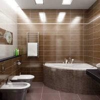 option of bright interior of a large bathroom picture