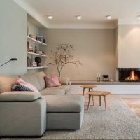 version of the bright design of the living room in the style of minimalism picture
