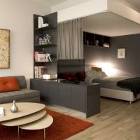 idea of ​​unusual design bedroom living room picture