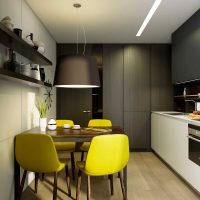 l'idée d'un intérieur de cuisine lumineux de 9 m² photo