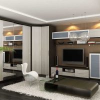 variant of a light decor of a living room bedroom 20 sq.m. picture