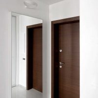 light style idea of ​​a modern hallway photo room