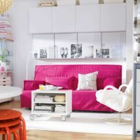 caso d'uso rosa in una foto di design luminoso appartamento