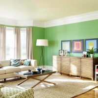 green application in a bright photo room decor