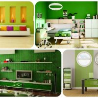 idea of ​​applying green color in a bright interior of a photo room