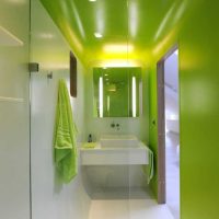 the idea of ​​applying green in a bright interior of an apartment picture