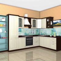 the idea of ​​a bright kitchen design 8 sq.m picture