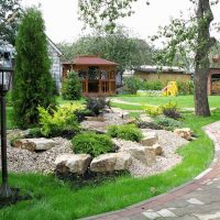 the idea of ​​using beautiful plants in landscape design at home photo