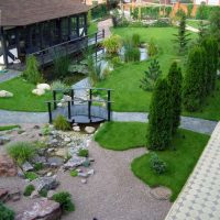 variant of the application of beautiful plants in the landscape design of the house photo