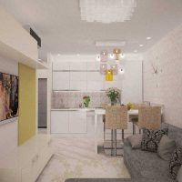 variant of light design one-bedroom apartment photo