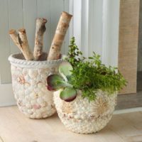 dekoras iš kriauklių gėlių vazonų