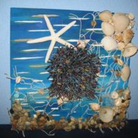 seashell decor