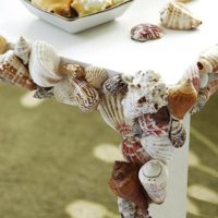 decor of shells on the table