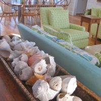 seashell decor in the living room