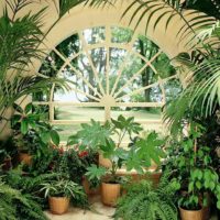 option to use beautiful ideas for decorating a winter garden photo
