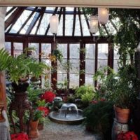 the idea of ​​using bright ideas for decorating a winter garden photo