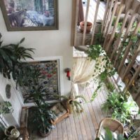 An example of using bright ideas for decorating a winter garden in a house