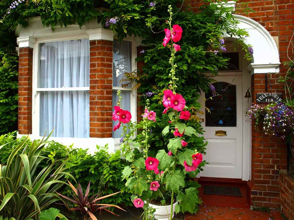 variant of a beautiful front garden decor in a private courtyard