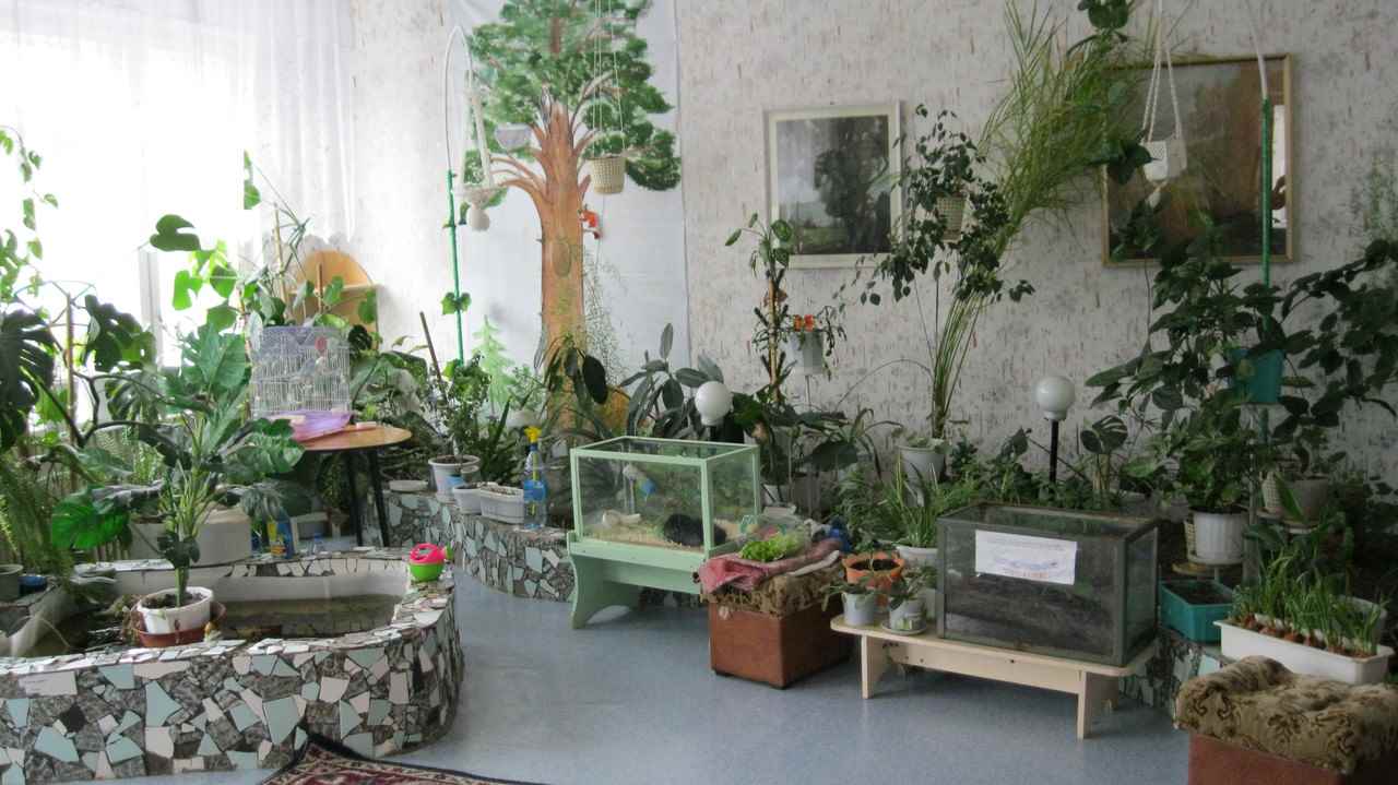 An example of using unusual ideas for decorating a winter garden in a house