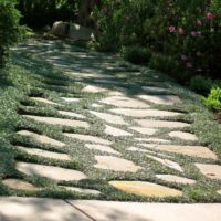 example of the use of unusual garden paths in the design of the yard picture
