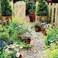 the idea of ​​applying beautiful garden paths picture