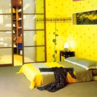 esempio di utilizzo di un bellissimo giallo nella foto del design della stanza