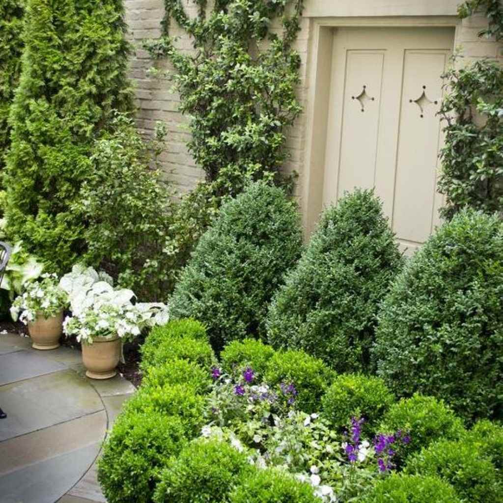example of a bright front garden design in a private courtyard