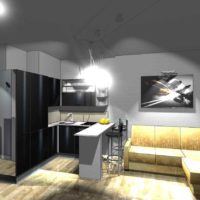 the idea of ​​a light studio decor 20 sq.m photo