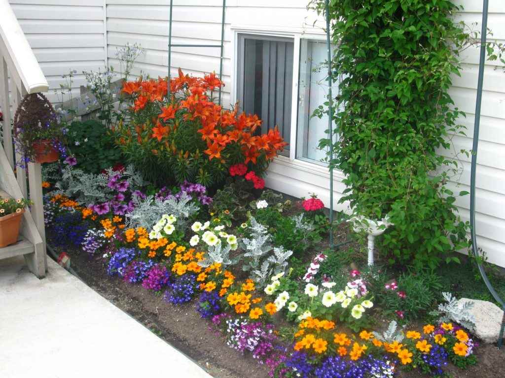 The idea of ​​a bright design of the front garden at the cottage