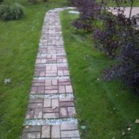 option of using light garden paths in landscape design picture
