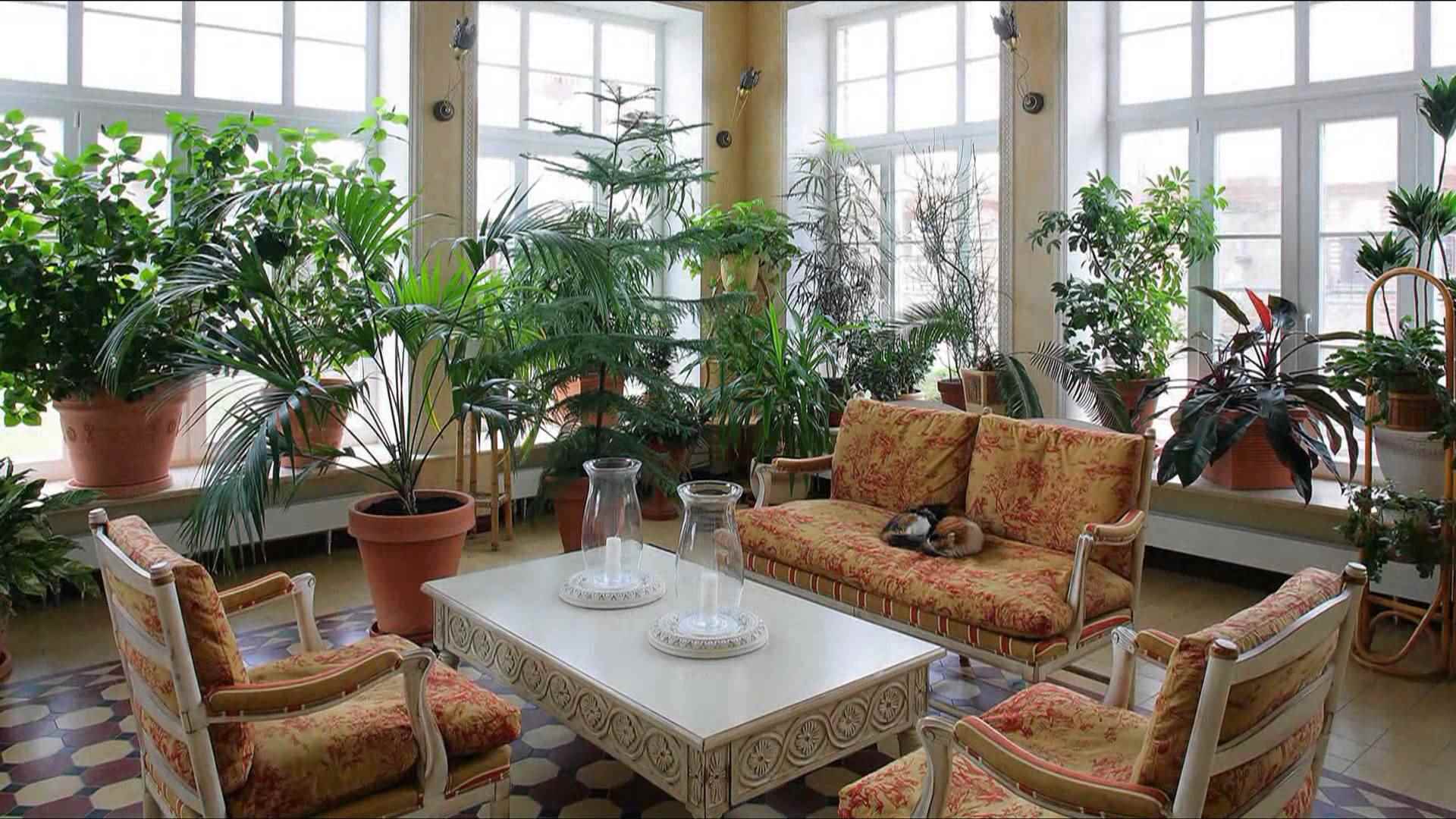 the idea of ​​using unusual ideas for decorating a winter garden