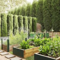 L'idée d'un design de jardin léger dans le pays