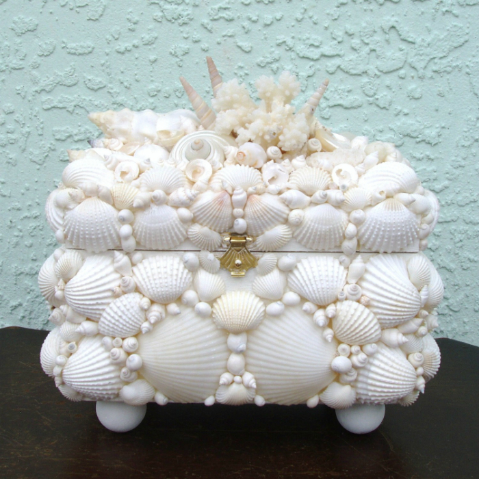 seashell box