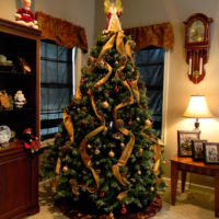 decorate the Christmas tree in 2018 design