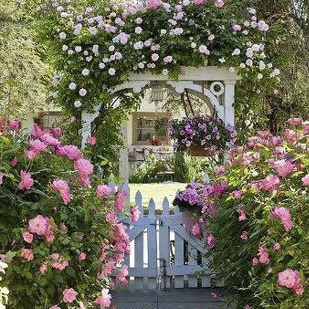 example of the use of bright roses in landscape design