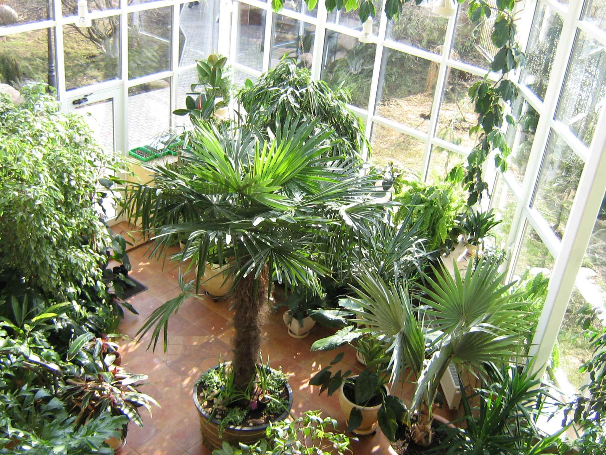 An example of using beautiful ideas for decorating a winter garden