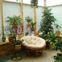 An example of applying bright ideas for decorating a winter garden