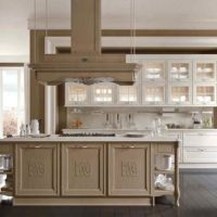 option of a bright interior of the kitchen in a classic style picture