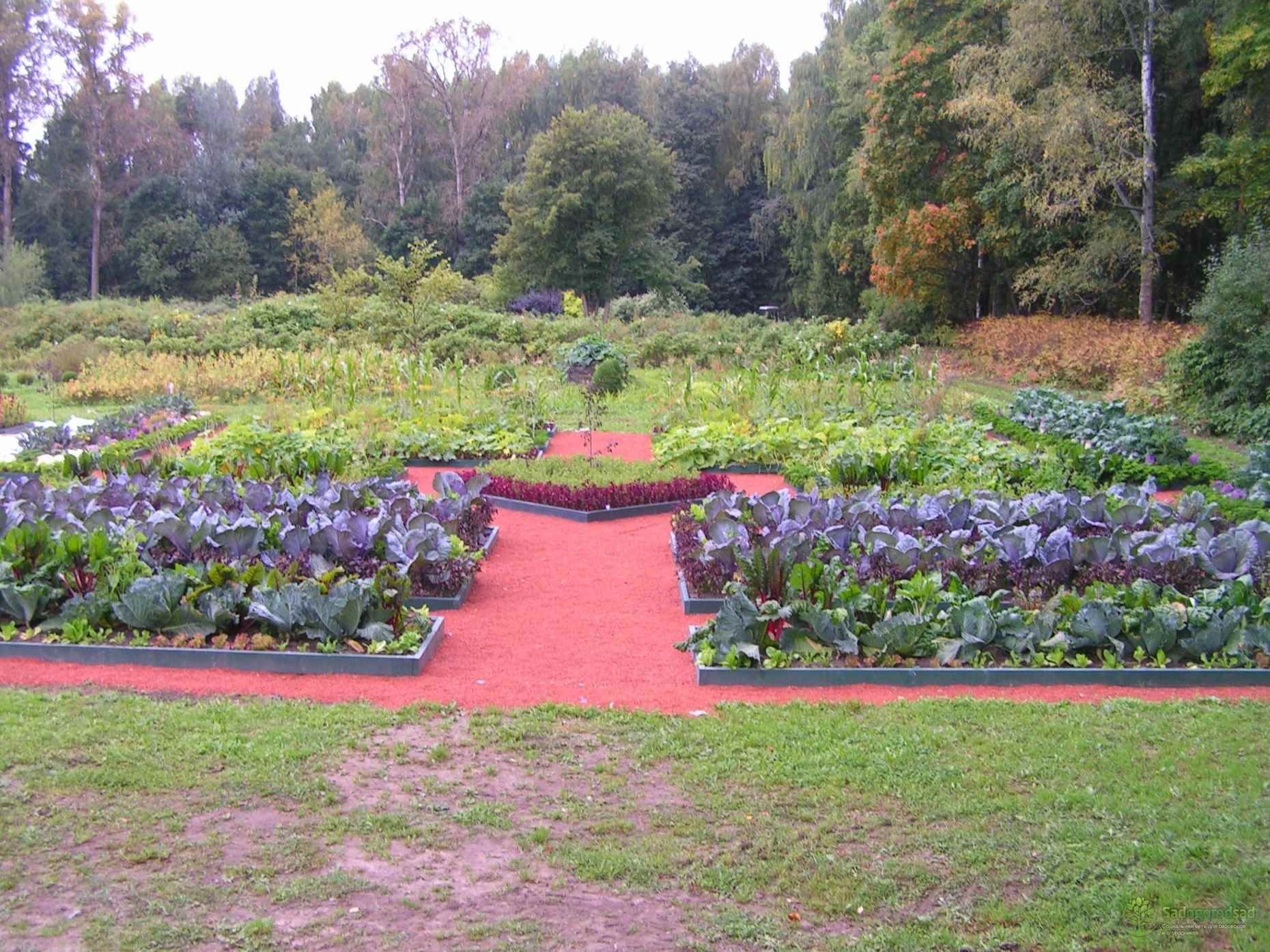 version of a beautiful design of the garden in the country