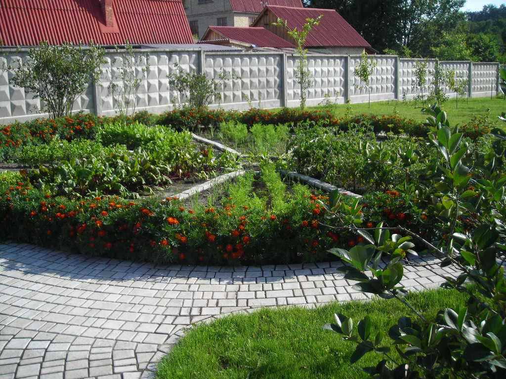 variante d'une belle décoration de jardin dans une cour privée
