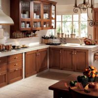 the idea of ​​a beautiful kitchen design in a rustic style photo