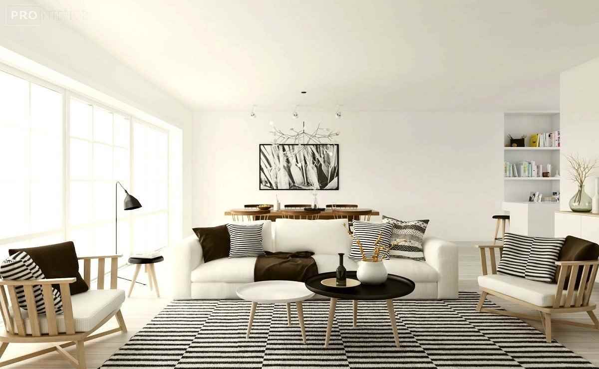 example of using a beautiful Scandinavian style in the interior