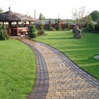 variant of the use of unusual garden paths in the design of the yard picture