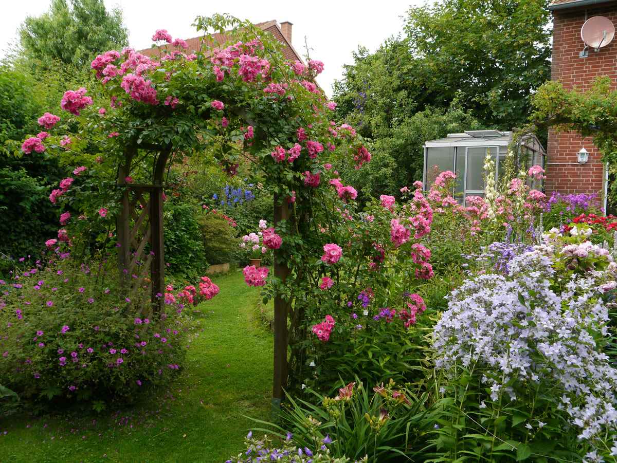 example of the use of bright roses in the design of the yard