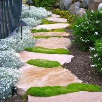 the idea of ​​using bright garden paths in the design of the yard photo