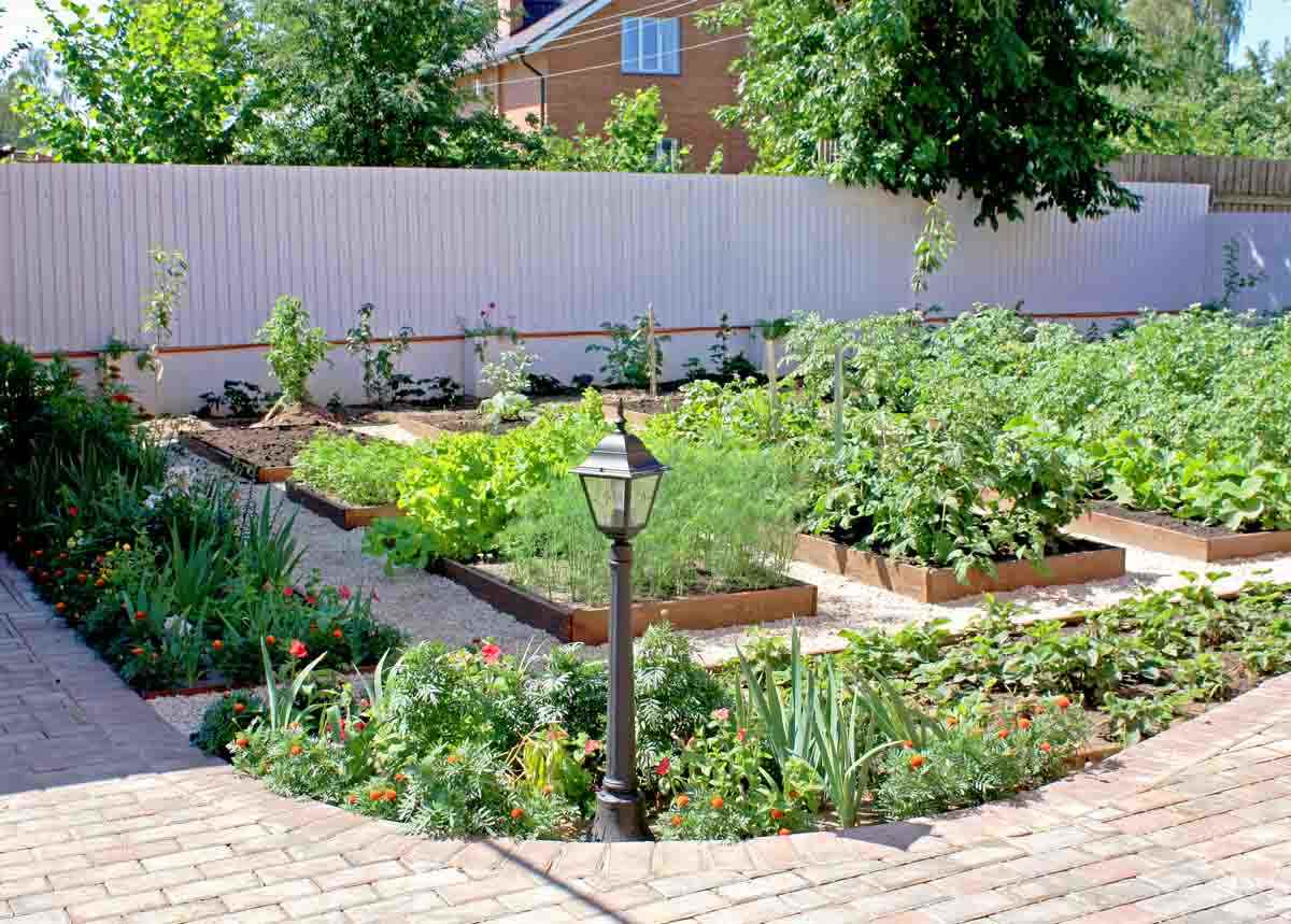 version d'un beau design de jardin dans une cour privée
